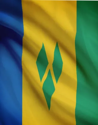 flag svg