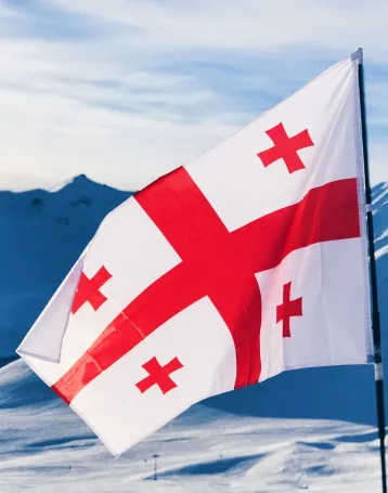 georgia flag
