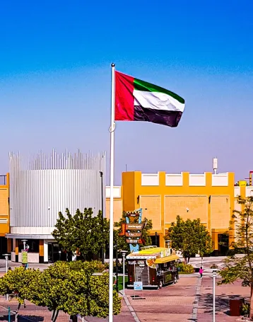 ifza flag