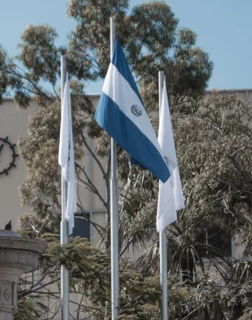 salvador flag