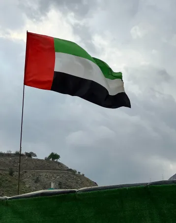 united arab emirates flag 1