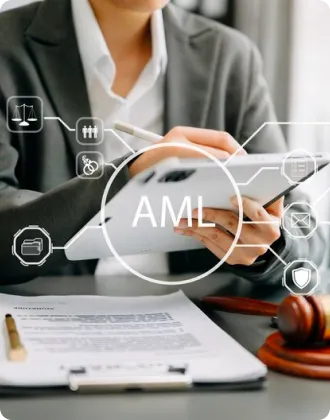 aml 2 web