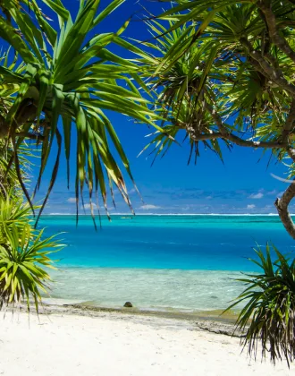 vanuatu web 1 jpg