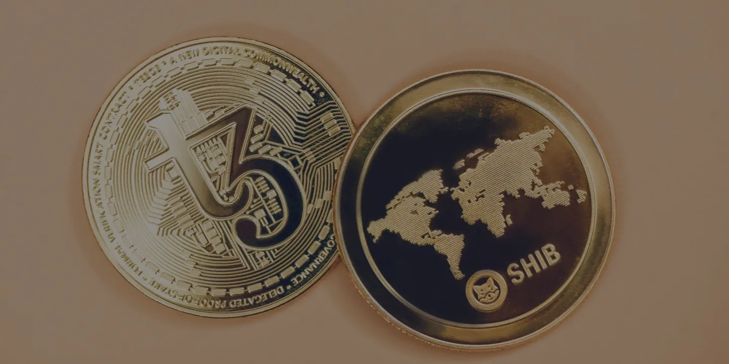 Commemorative cryptocurrency coins with SHIB design and world map
