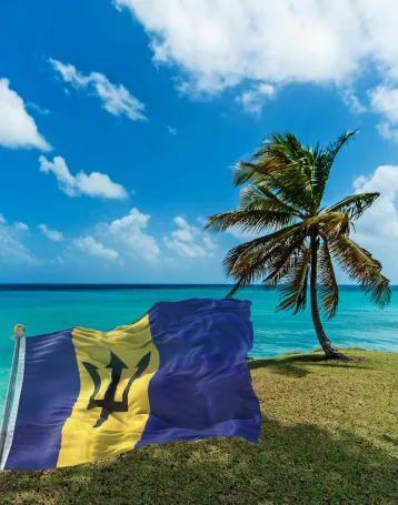 barbados img flag
