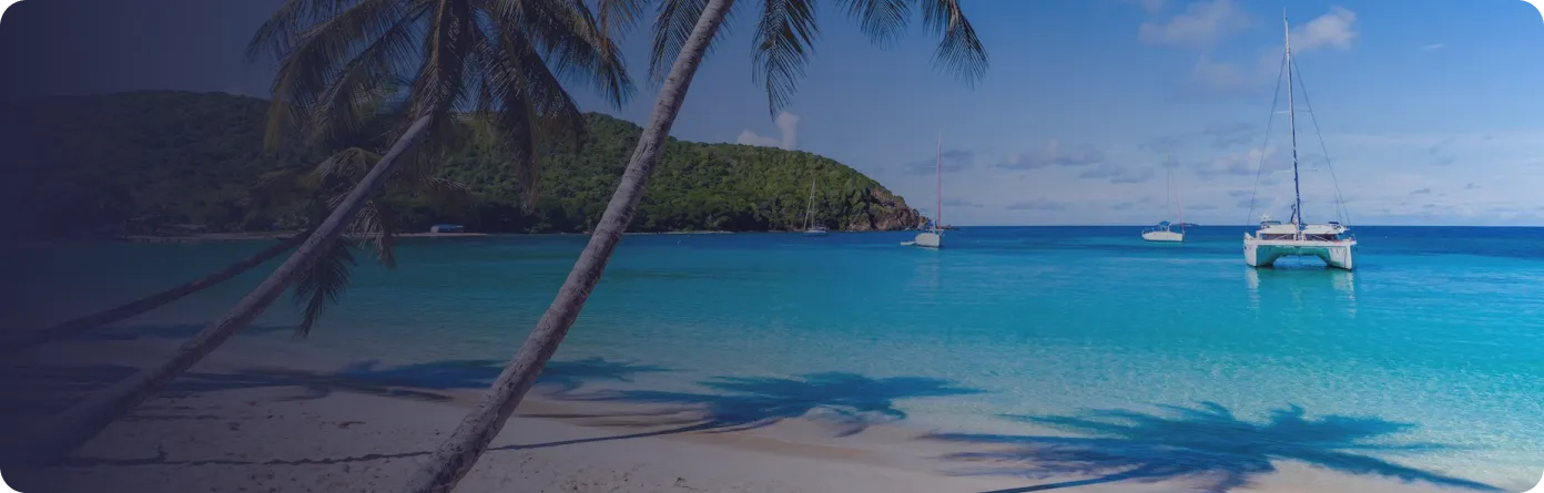 saint vincent grenadines banner cta