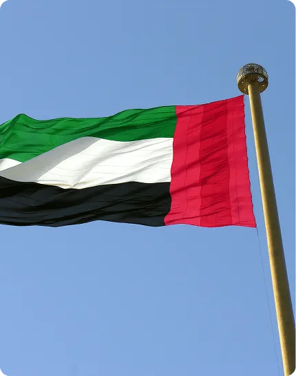 Flag of United Arab Emirates