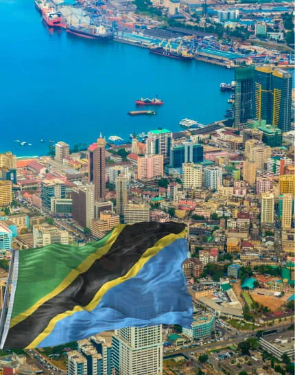 tanzania img flag