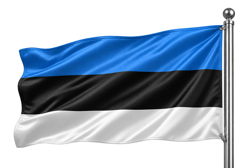 estonia flag